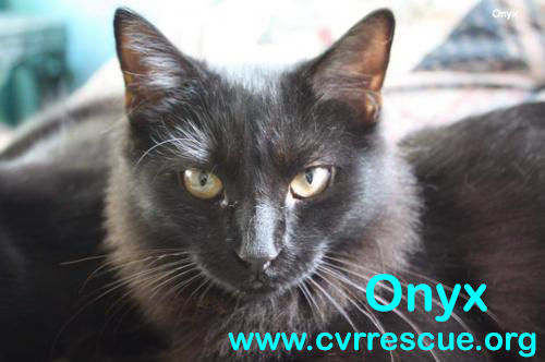 Onyx